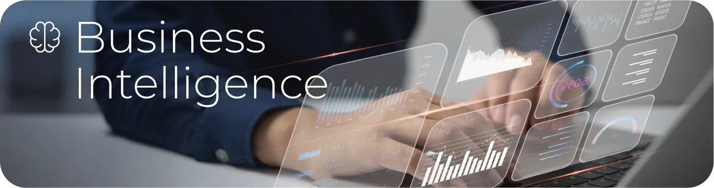 Business Intelligence
