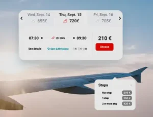 flights-webinar