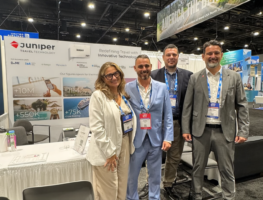 International participations June